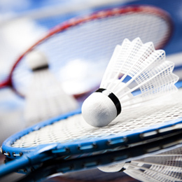 Sellos
de la categoría Bádminton
'
Sellos
de la categoría Bádminton
'