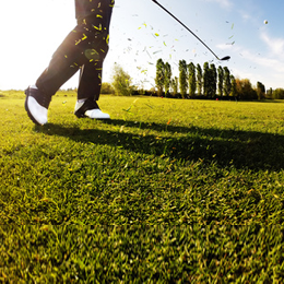 Sellos
de la categoría Golf
'
Sellos
de la categoría Golf
'
