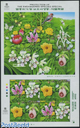 Flower protection m/s (with 3 sets)