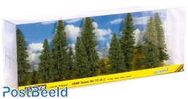 Fir Trees (9pcs) ~ 8-12cm