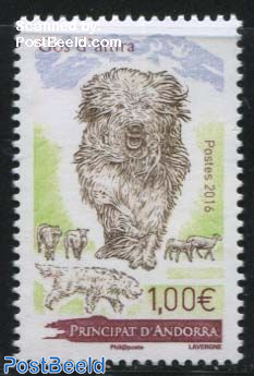 Catalan Sheepdog 1v