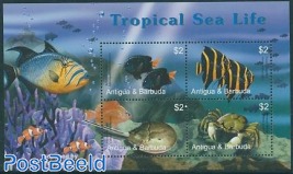 Tropical sea life 4v m/s, Yellowtail Damselfish
