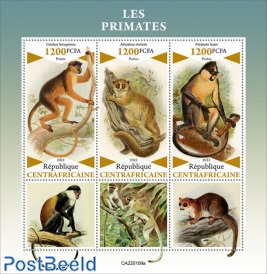 Primates/ Monkeys