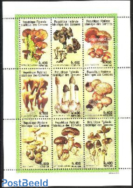 Mushrooms 9v m/s