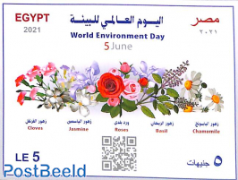 World environment Day s/s