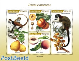 Fruits and monkeys