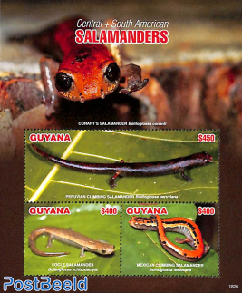 Salamanders 3v m/s