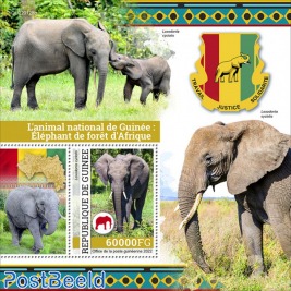 The national animal of Guinea: the African forest elephant