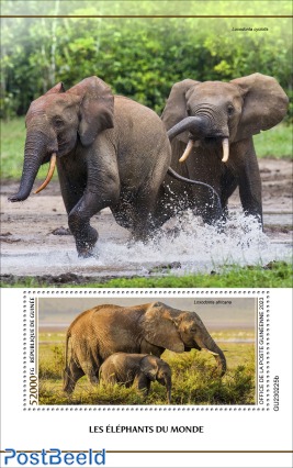 Elephants of the World