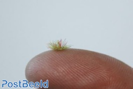 Grass Tufts ~ Light Green (2mm)
