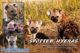 Spotted Hyenas 3v m/s