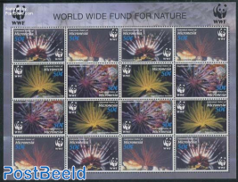 WWF, Corals m/s with 4 sets