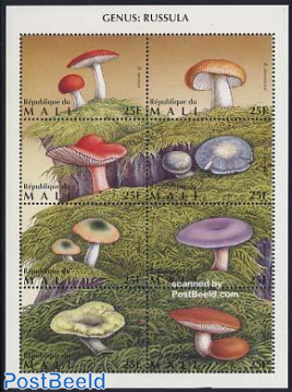 Mushrooms 8v m/s