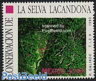 La Selva Lacandona 1v