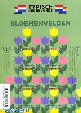 Typical Dutch, flower fields m/s