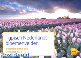 Typical Dutch, flower fields, pres. pack 666