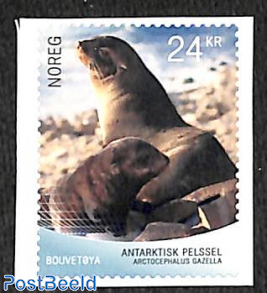 Arctic seal 1v s-a