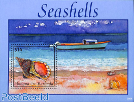 Seashells s/s