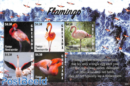 Flamingo 5v m/s