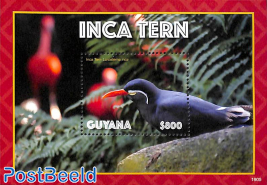 Inca Tern s/s