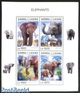 elephants