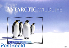 Antarctic wildlife s/s
