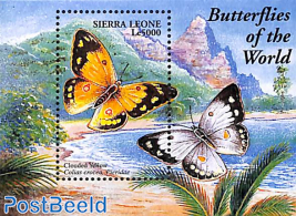 Butterflies s/s, Collas crocerae