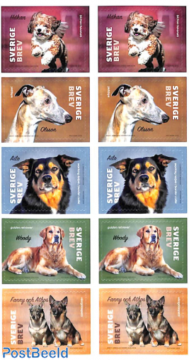 Dogs booklet s-a