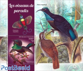 birds of paradise