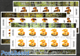 Jugend, mushrooms 3 m/s
