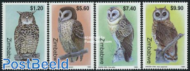 Owls 4v