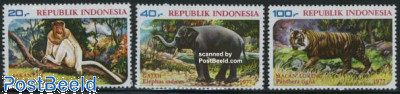 Animals 3v