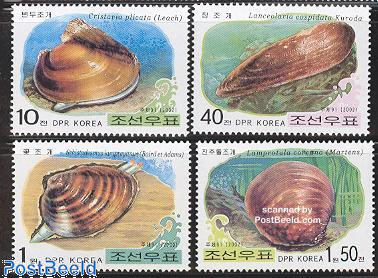 Shells 4v