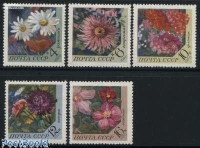Garden flowers 5v