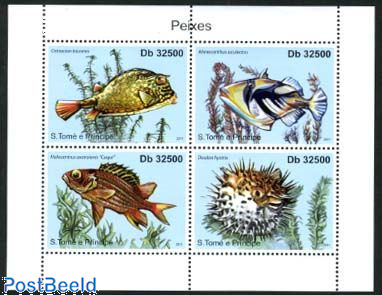 Fish 4v m/s