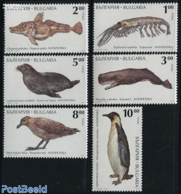 Antarctic animals 6v