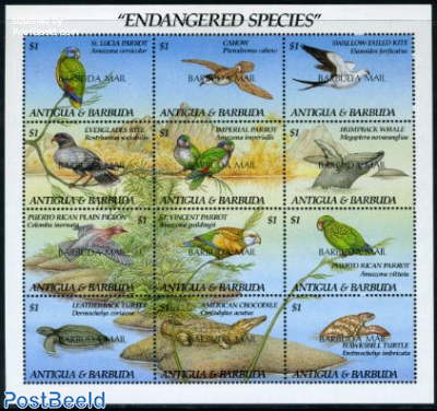 Endangered species 12v m/s