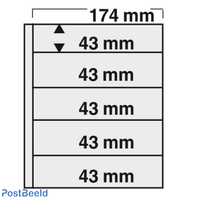 1 hoja compact 5 secciones (43x174mm)