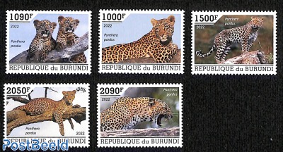 Leopards, 5v