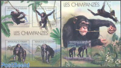 Chimpansees 2 s/s