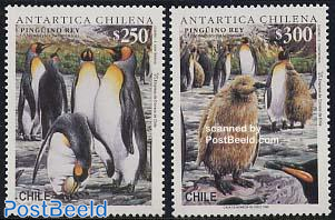 Antarctica 2v, Penguin