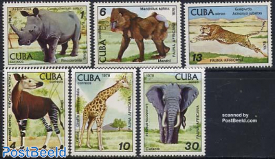 Havana zoo 6v
