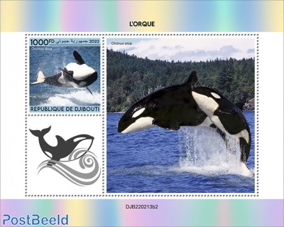 Orca (Orcinus orca) [s/s 1000FD]