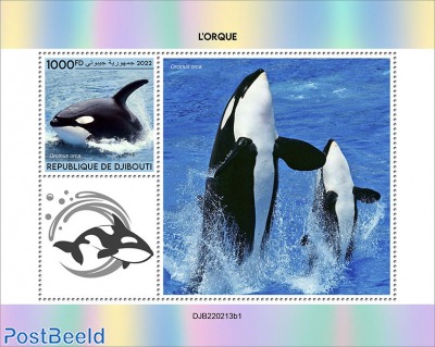 Orca (Orcinus orca) [s/s 1000FD]