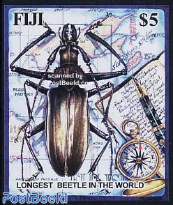 Longest beetle s/s