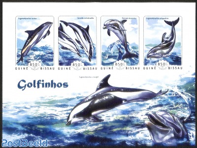 killer whales, imperforate