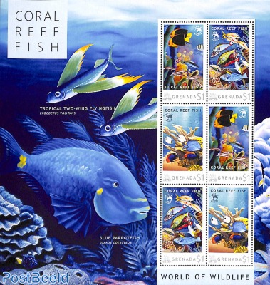 Sheet with personal stamps, Coral Reef Fish