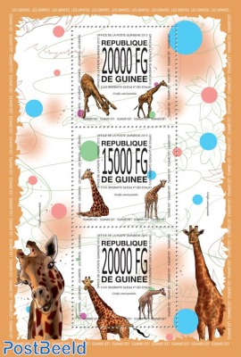 Giraffes of the world