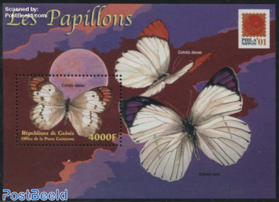 Butterflies s/s, Colotis danae