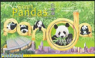 Panda bears s/s
